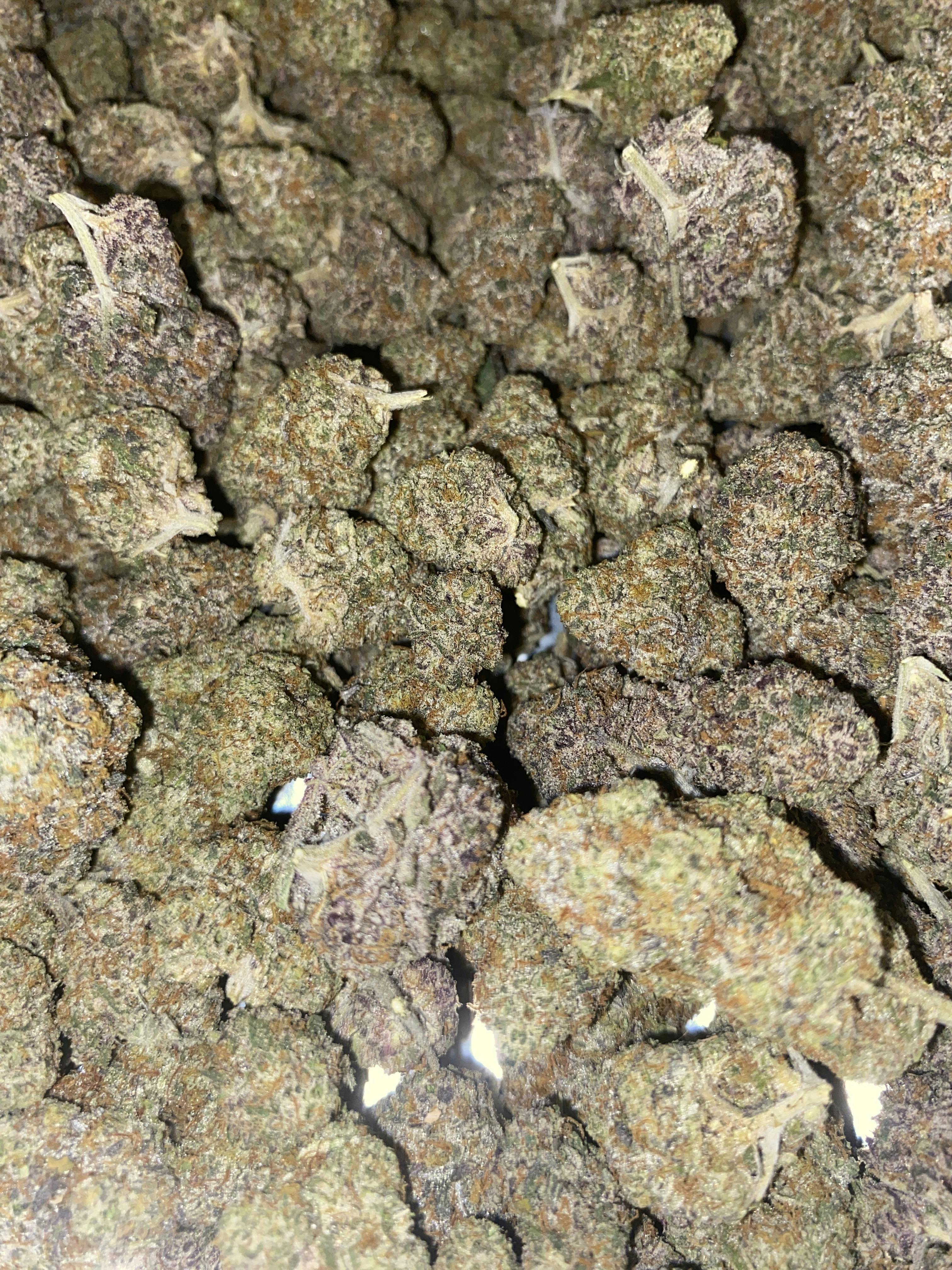 Permanent Marker | Big Buds | 28g by The Green Well