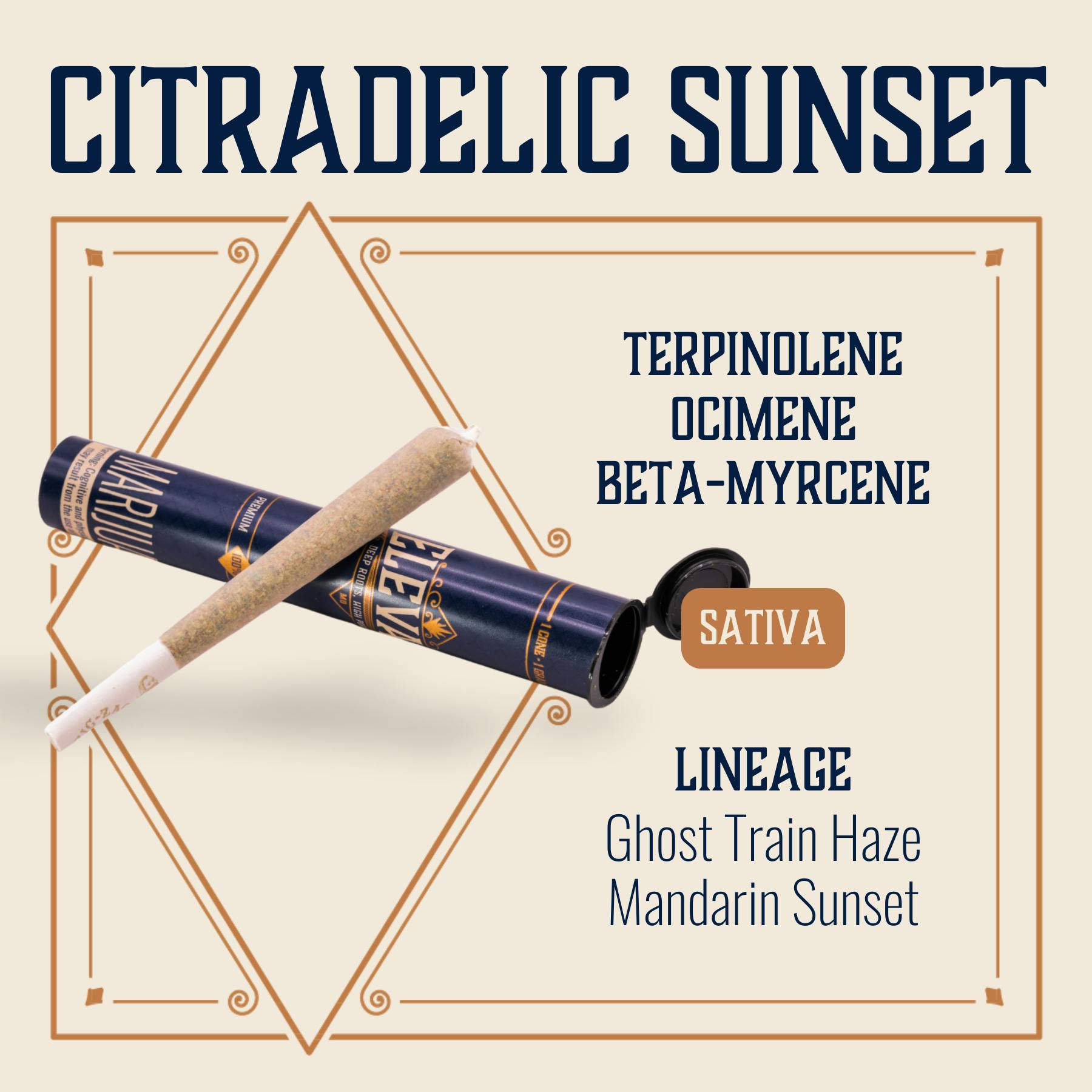 Citradelic Sunset | Joints | 1g