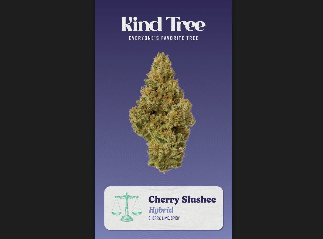 cherry slushee | Big Buds | 3.5g by Kind Tree