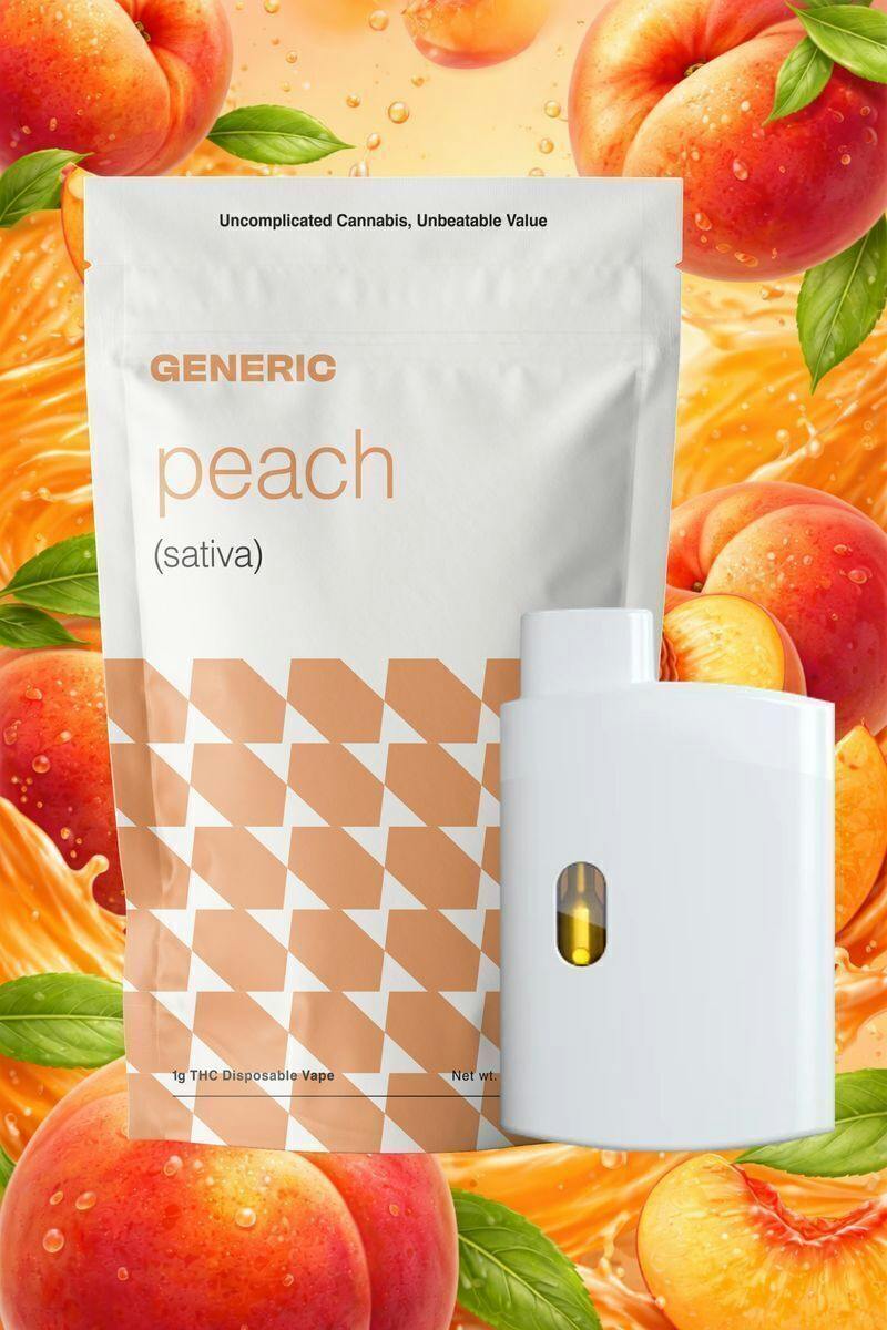 Georgia Peach | Disposable | 1g by GENERIC