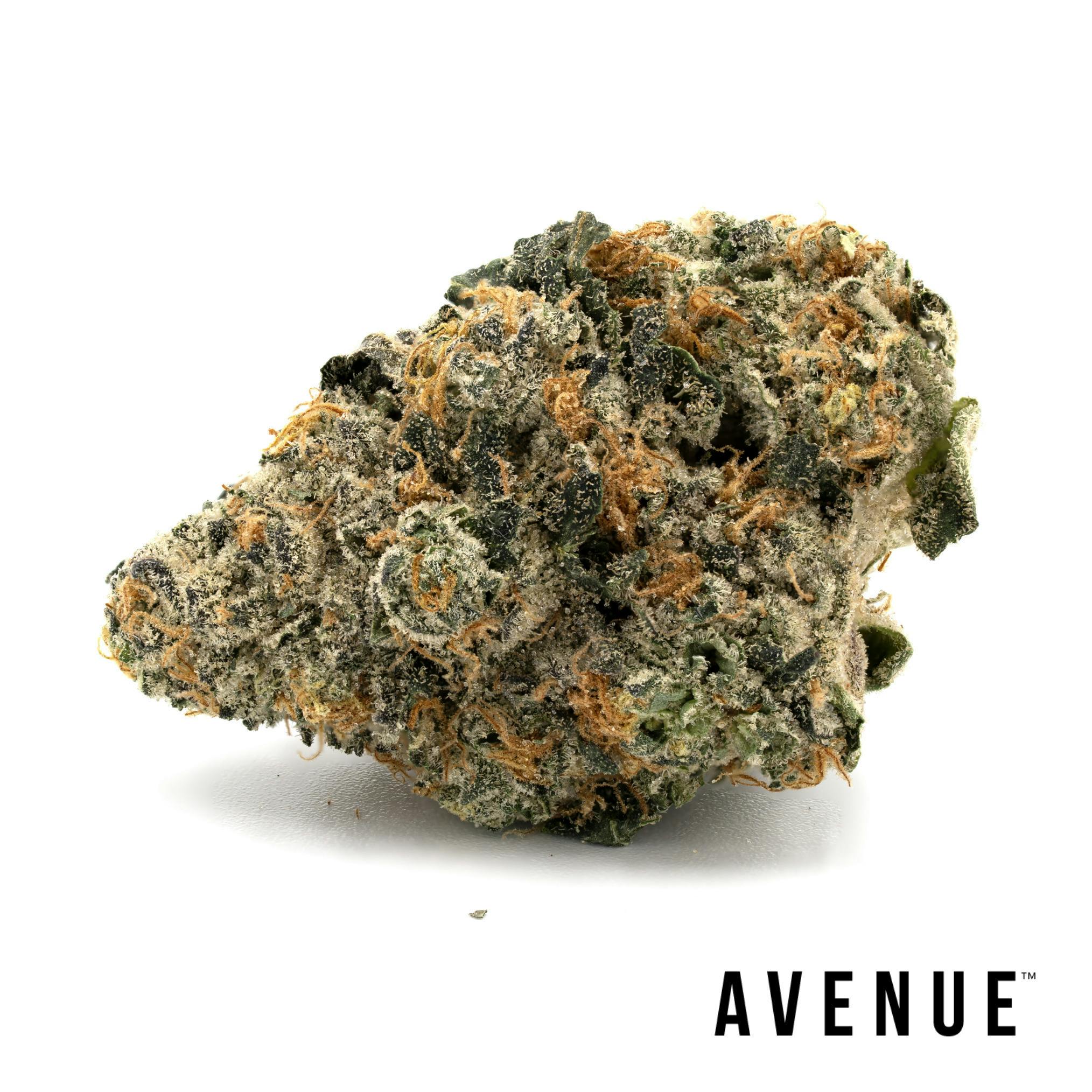 GMO-Lato · Big Buds