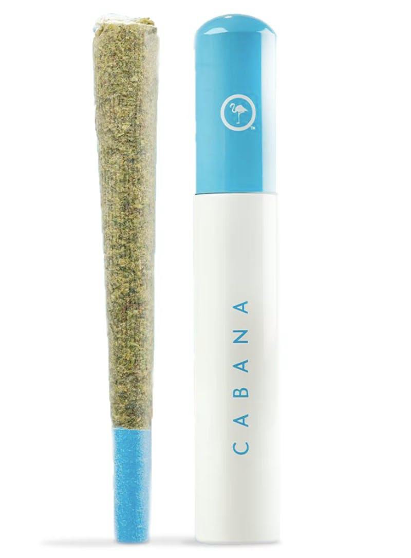Cabana Headband | Joints | 1g