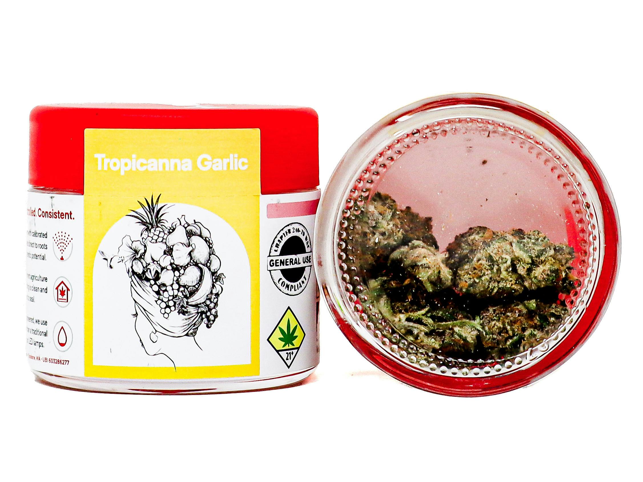 Tropicana Garlic | Big Buds | 3.5g