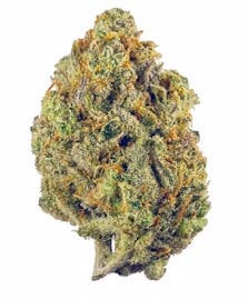 Frozen Dessert | Smalls | 1g by One Garden