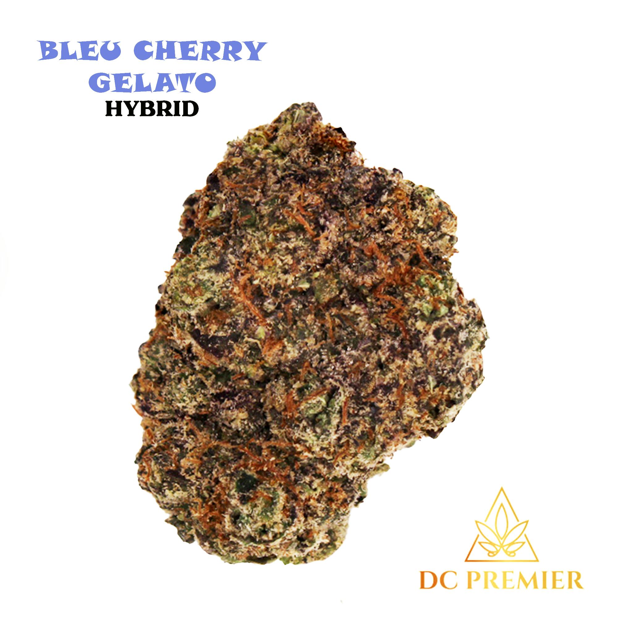 Bleu Cherry Gelato | Big Buds | 3.5g