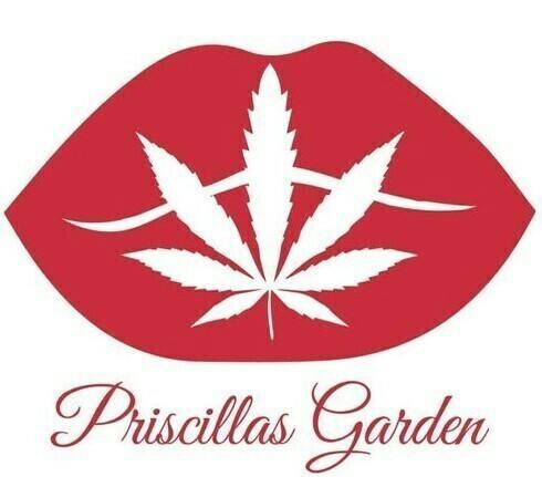 Cosmic Collision | Joints | 1g