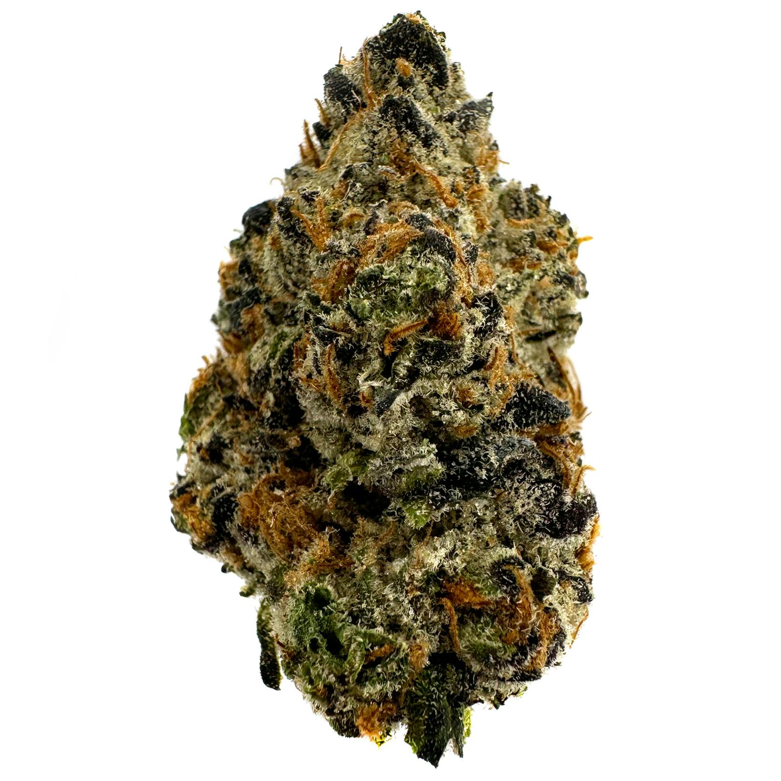 Apple Gelato | Big Buds | 3.5g