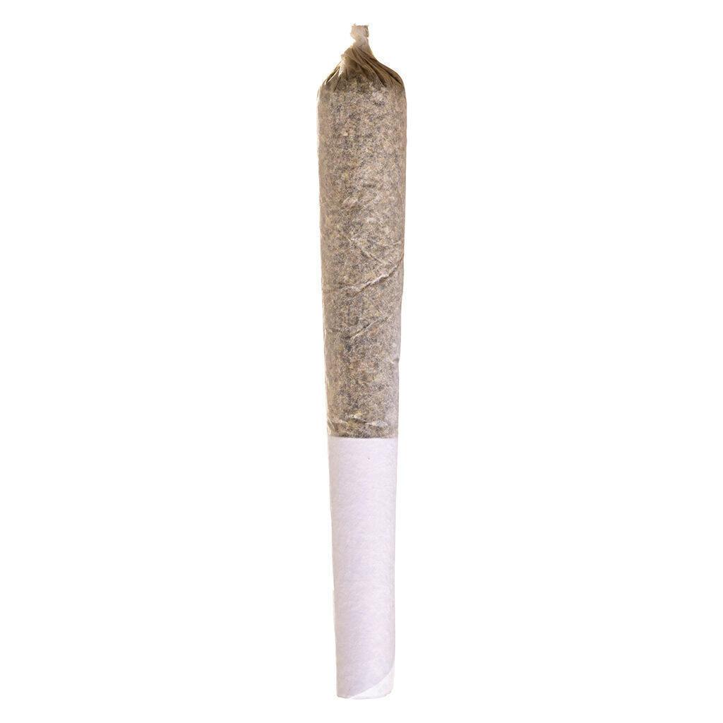 Apple Fritter | Minis | 0.5g