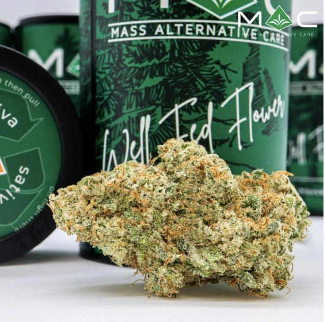 Sweet Tree | Big Buds | 3.5g by Mac