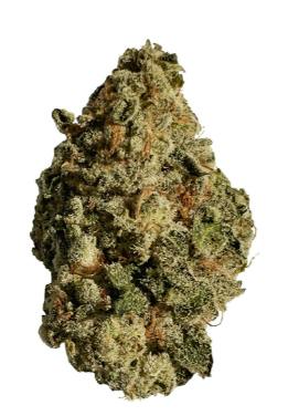 Blue Cheese | Big Buds | 3.5g