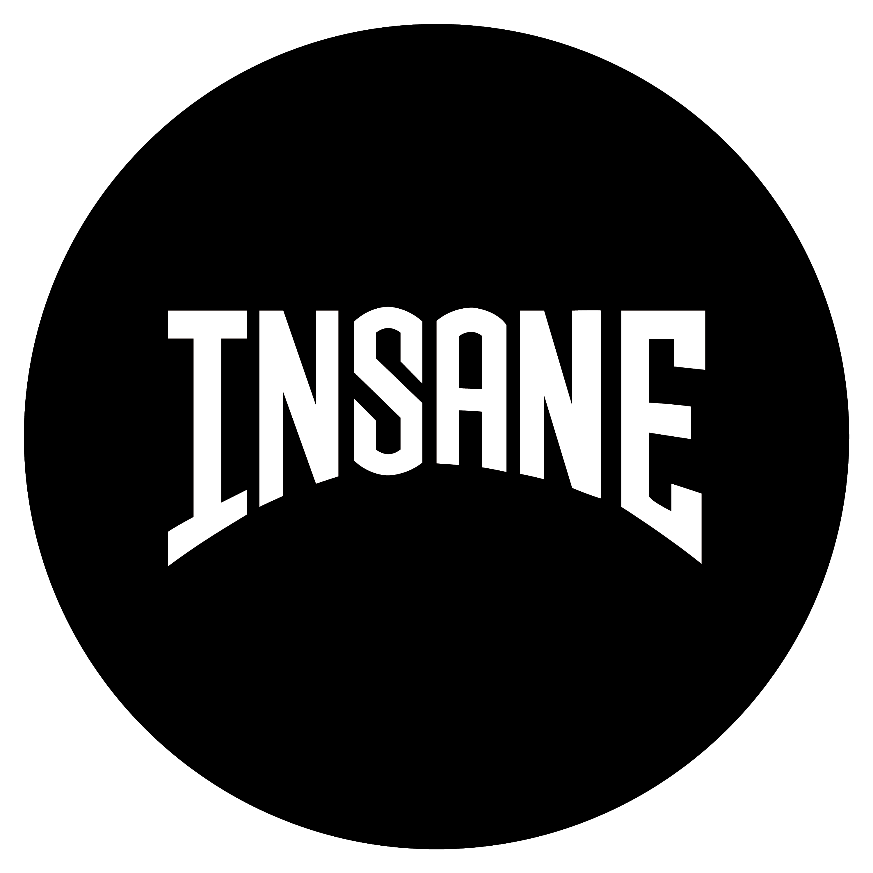 Insane Sweater | Apparel