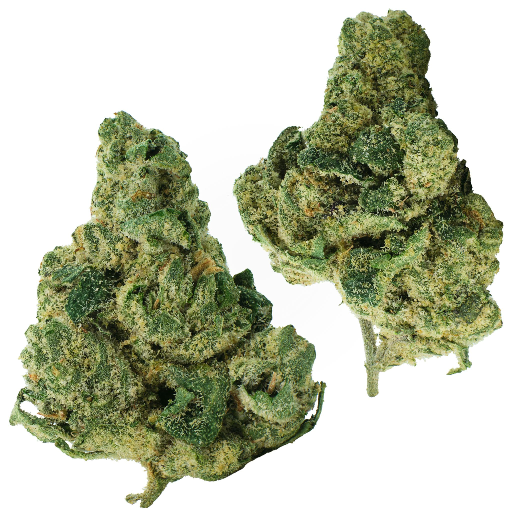 Prime Runtz | Big Buds | 1g