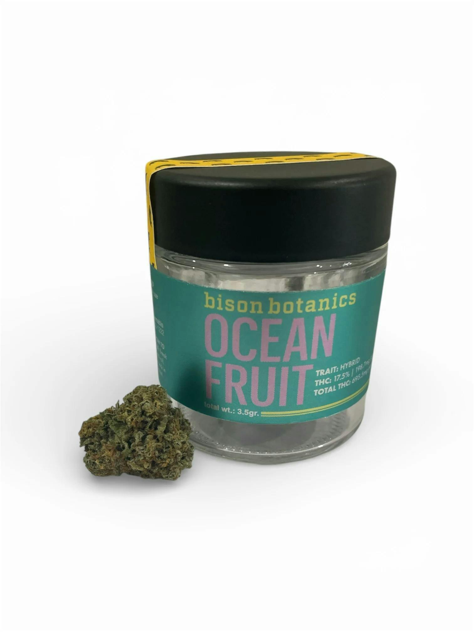 Ocean Fruit | Big Buds | 3.5g at High Peaks Canna Inc