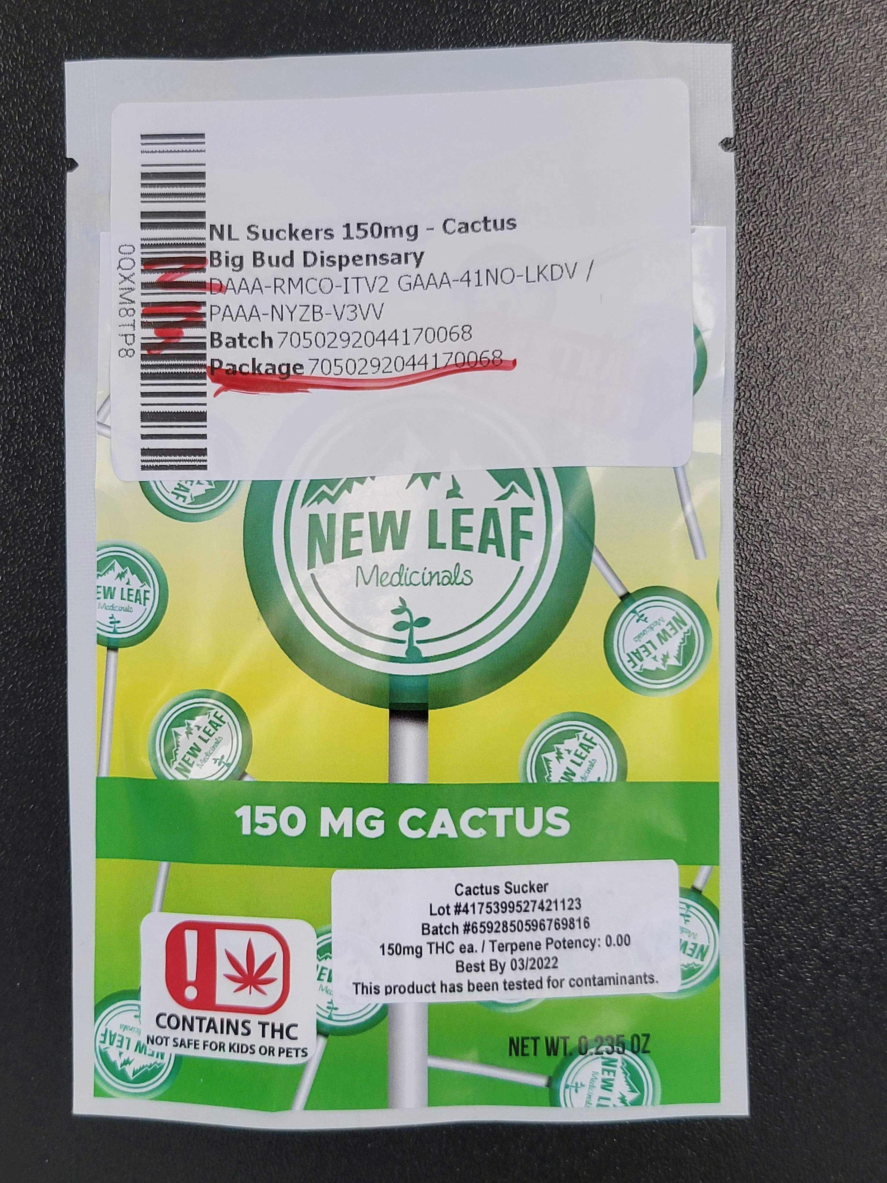 Cactus