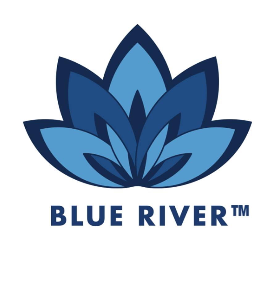 Blue River- Selenite Wand | Accessories
