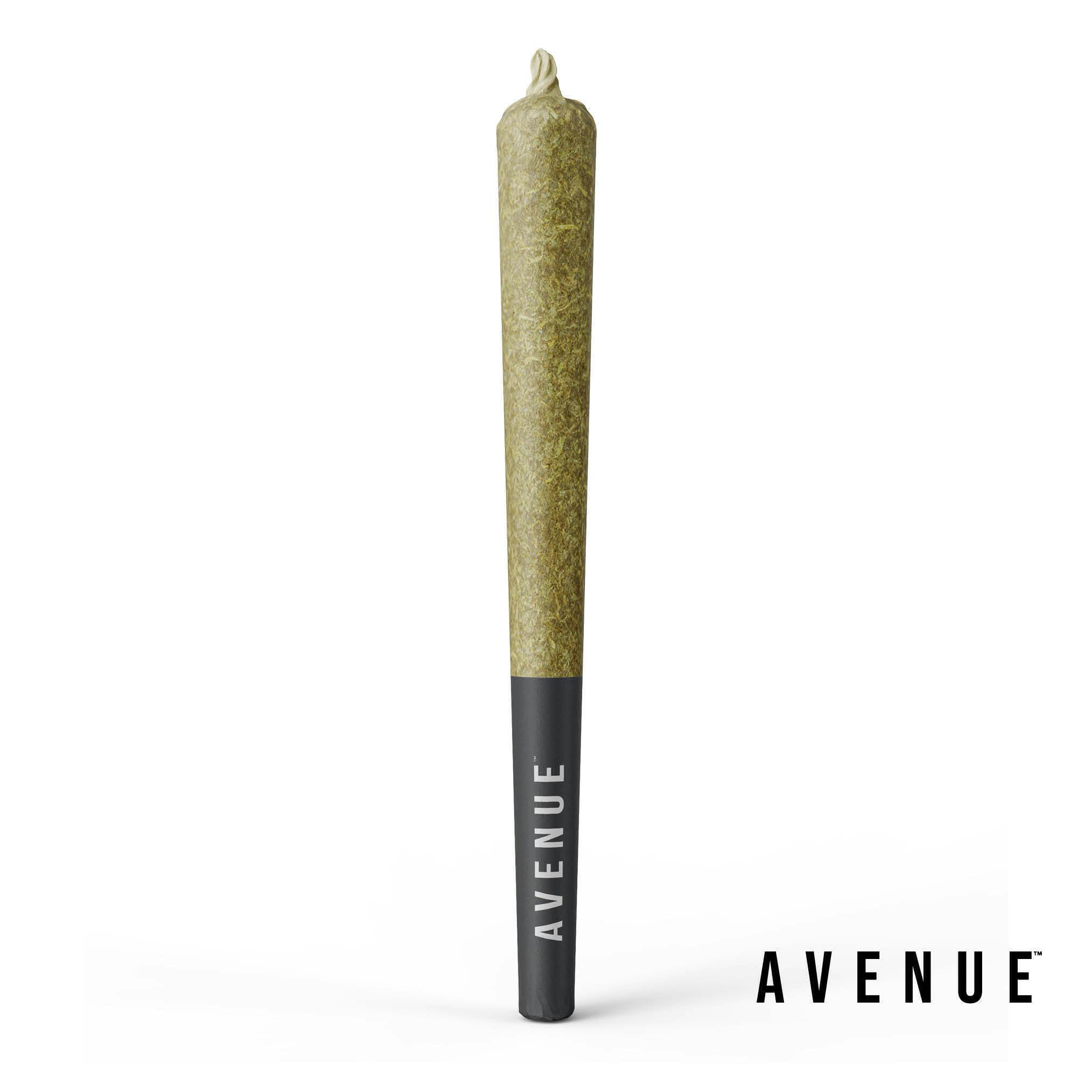 GMO-Lato · Joints