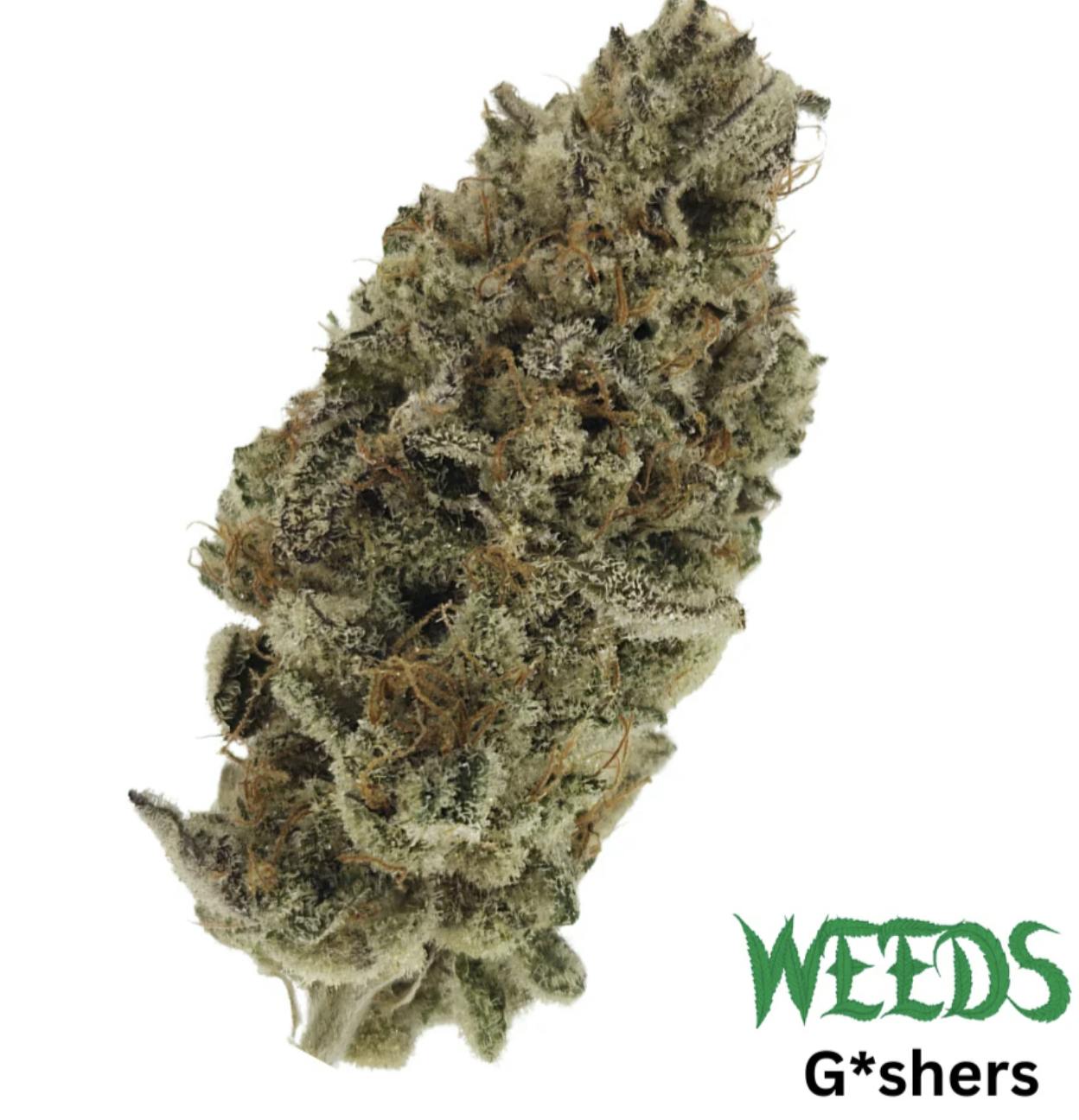 Gushers | Big Buds | 28g