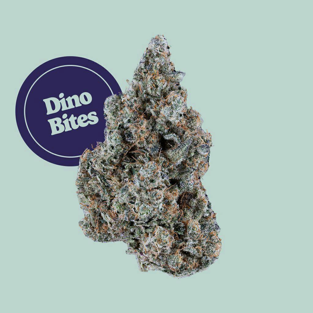 Dino Bites | Big Buds | 28g by Kind Tree