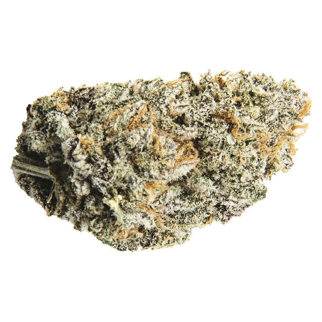Gas Banana | Big Buds | 7g