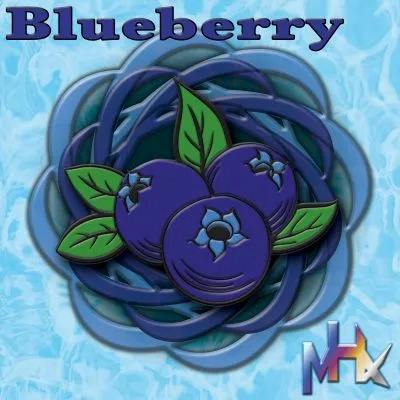 Blueberry | Disposable | 1g