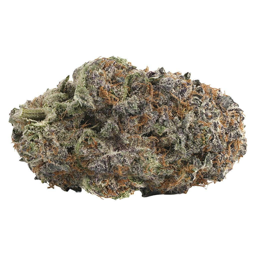 Purple Push Pop | Big Buds | 7g