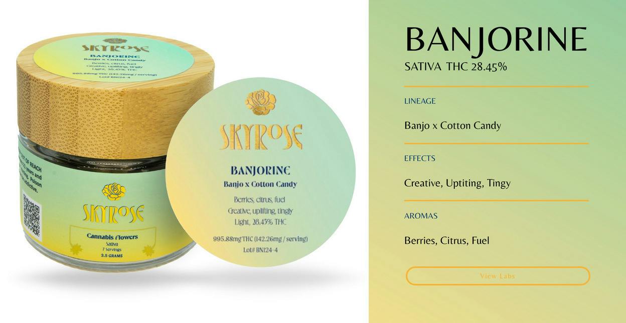 Banjorine | Big Buds | 3.5g