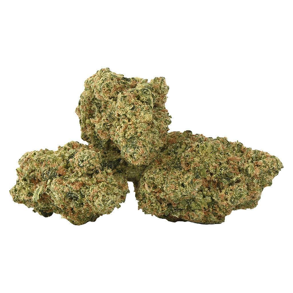 Yogurt | Big Buds | 14g