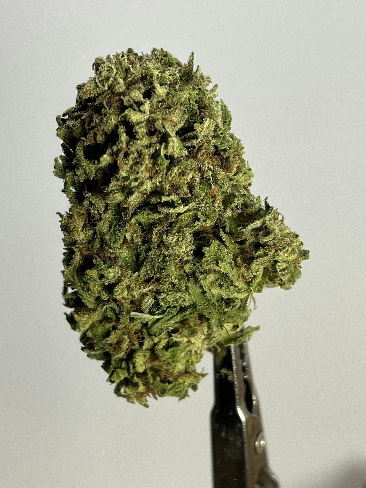 mystic lights — Big Buds - 3.5g