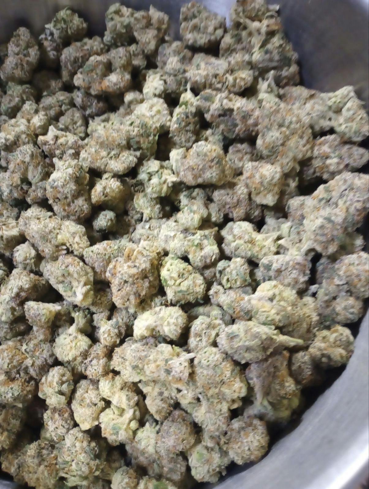 Blue Zushie | Big Buds | 1g