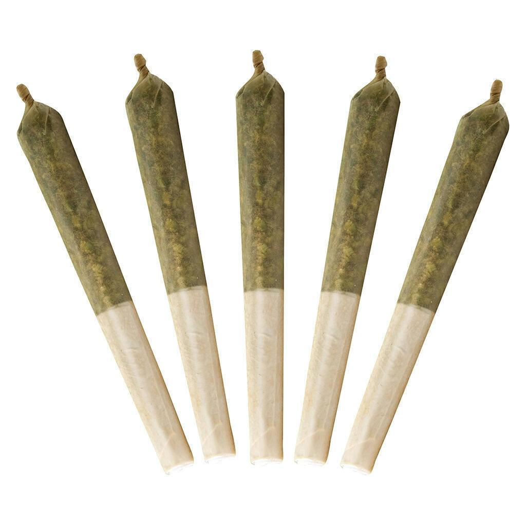 Blue Zlshies | Infused Minis | 0.5g | 5pk