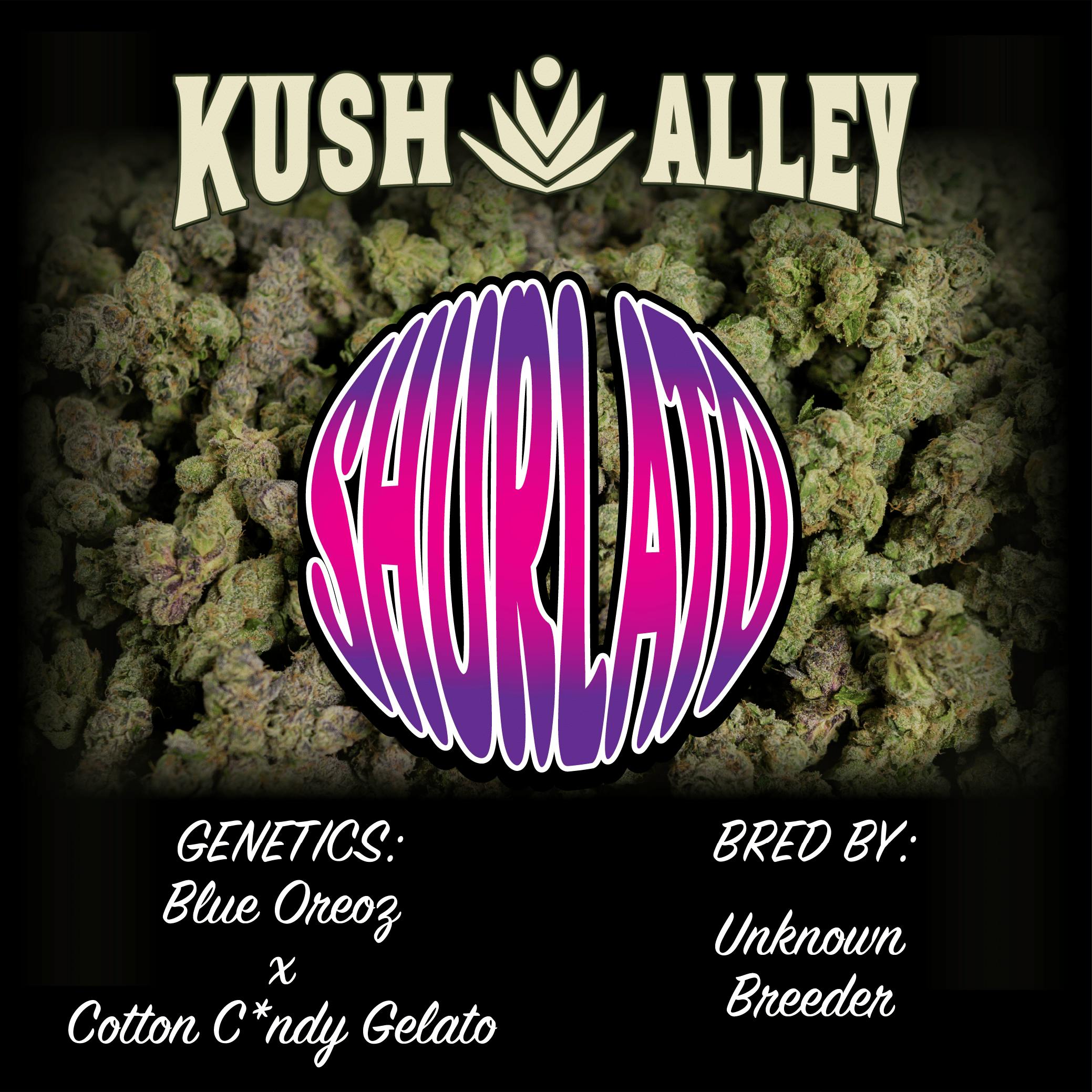 Shurlato | Big Buds | 4g
