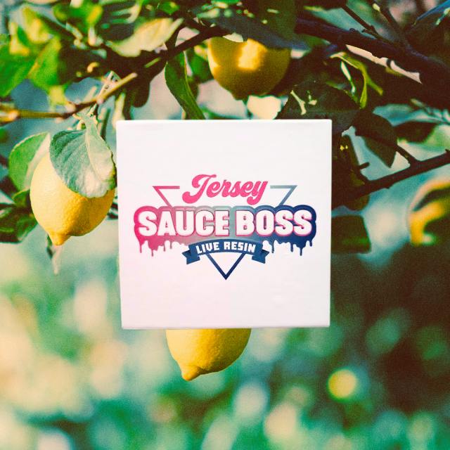 Super Lemon Haze | Solvent | Badder | 1g by Jersey Sauce Boss