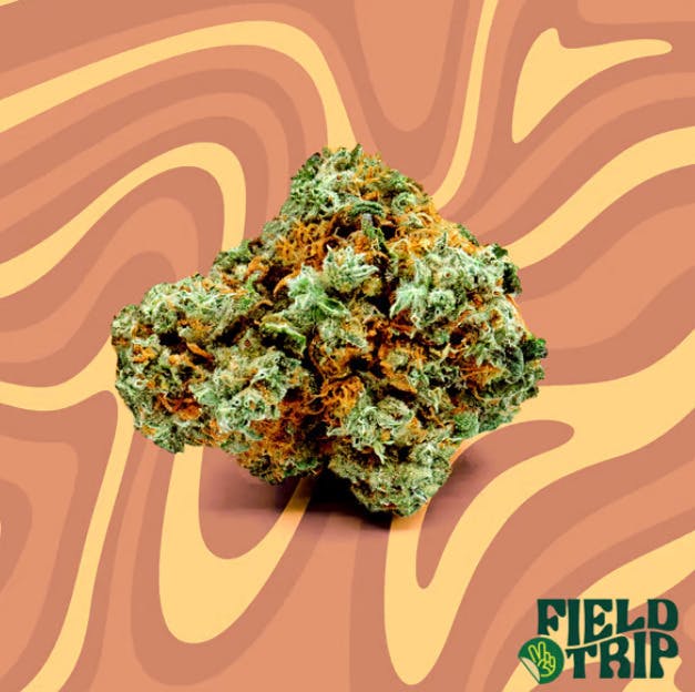 Jungle Bird — Big Buds - 5g