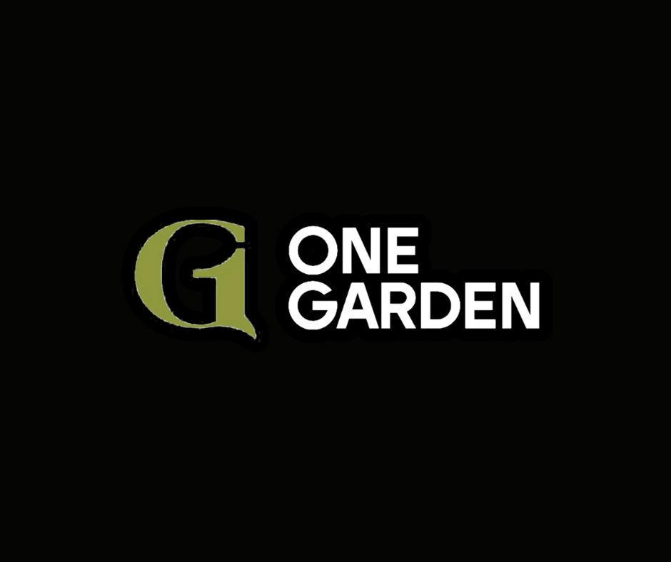 San Fernando Valley OG | Big Buds | 1g at Olean's Northport - Recreational Cannabis Leelanau County and Traverse City