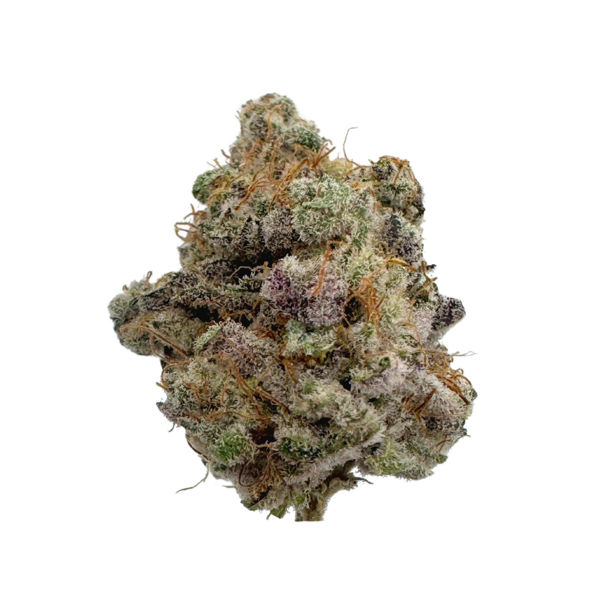High Noon Extracts: Blueberry Motor Oil