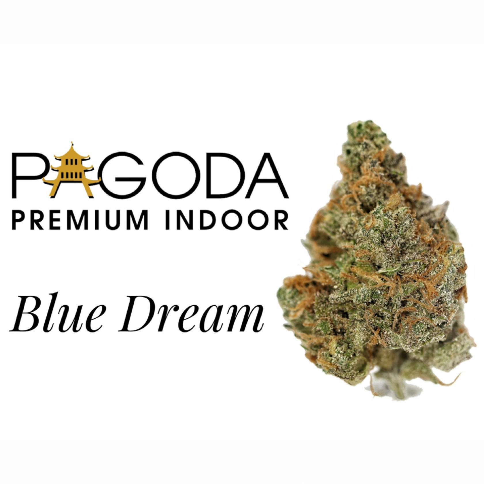 Blue Dream | Big Buds | 14g
