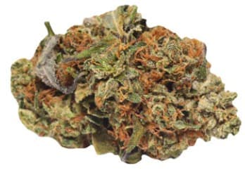 Rockstar | Big Buds | 1g