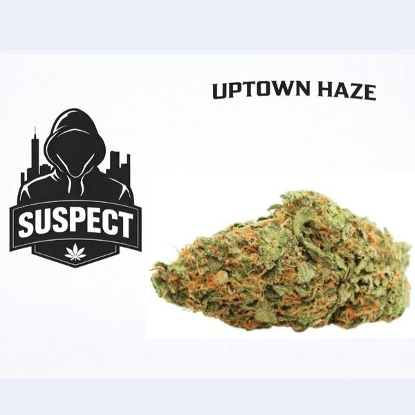 Uptown Haze | Buds | 2g