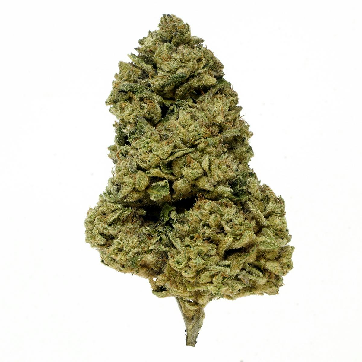 Slurty 3 | Big Buds | 3.5g by Grown Rogue