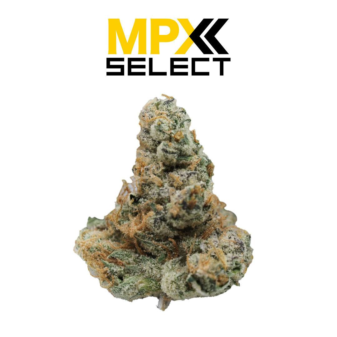 Skunk #1 | Big Buds | 3.5g by MPX (Melting Point Extracts)