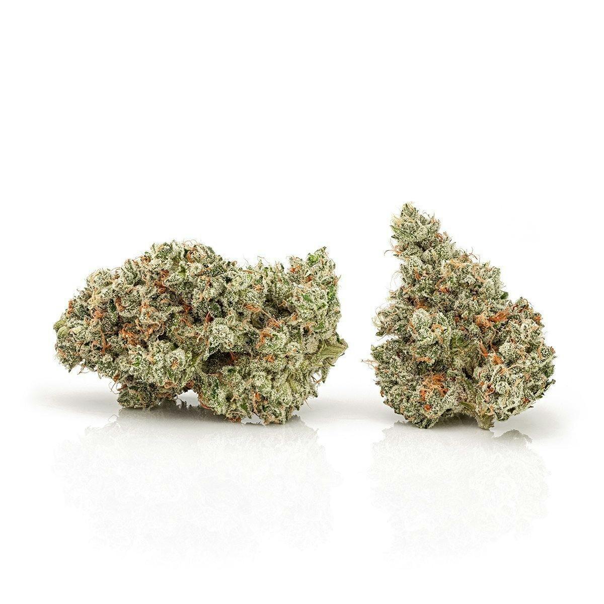 Sin City Funk | Big Buds | 3.5g