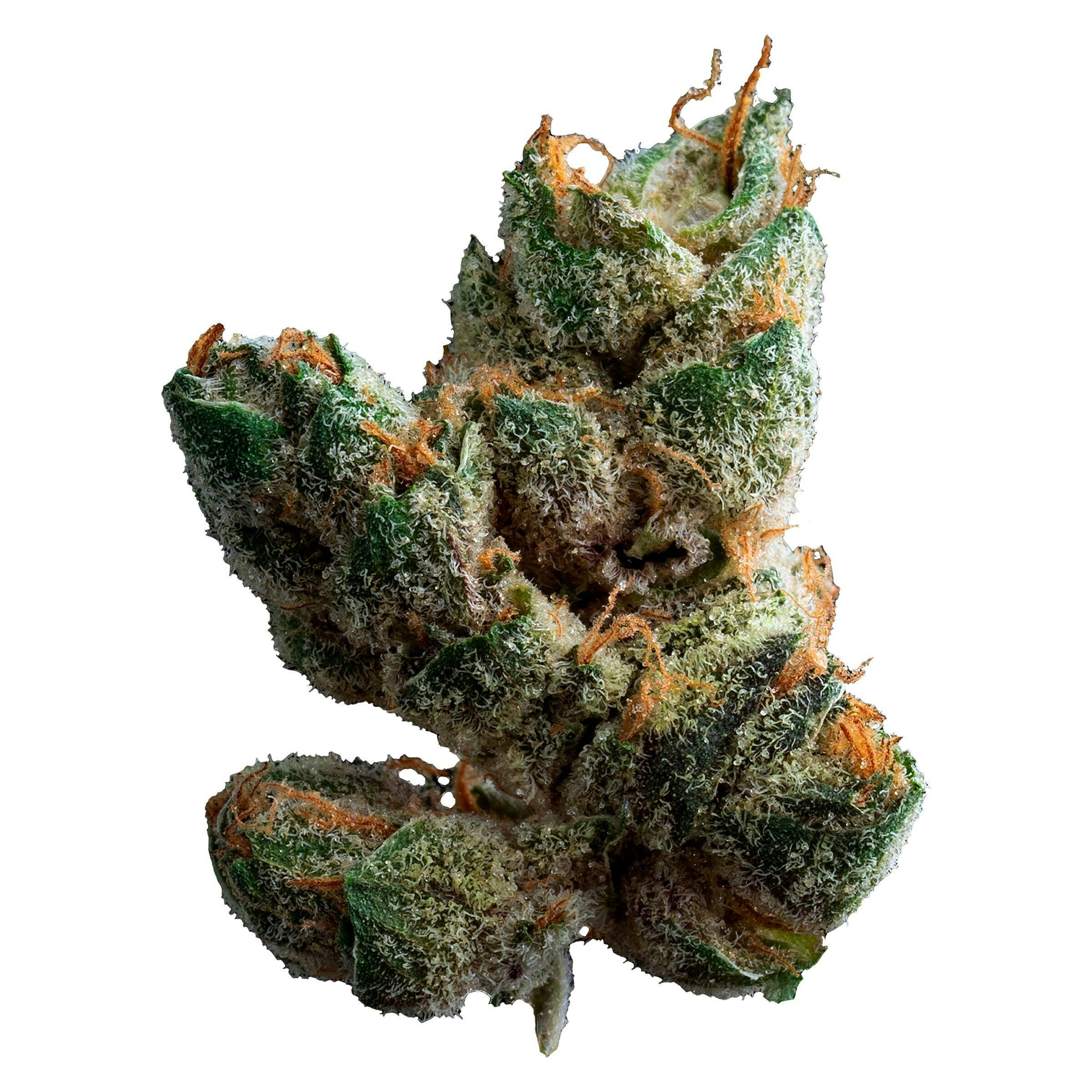 Sugar Cookies | Big Buds | 28g