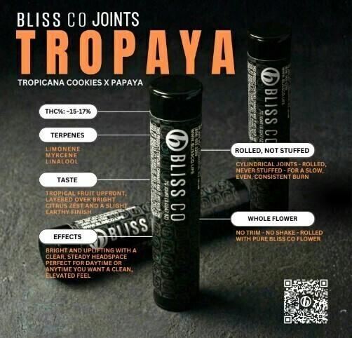 Tropaya