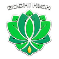 Blue Dream | Infused Joints | 1g at 4:20 Friendly