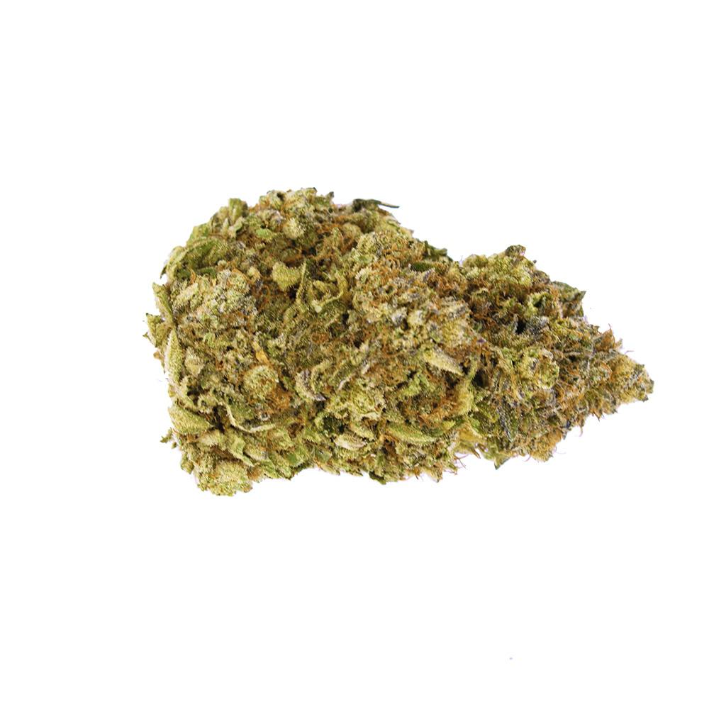 Orange Tree | Big Buds | 3.5g