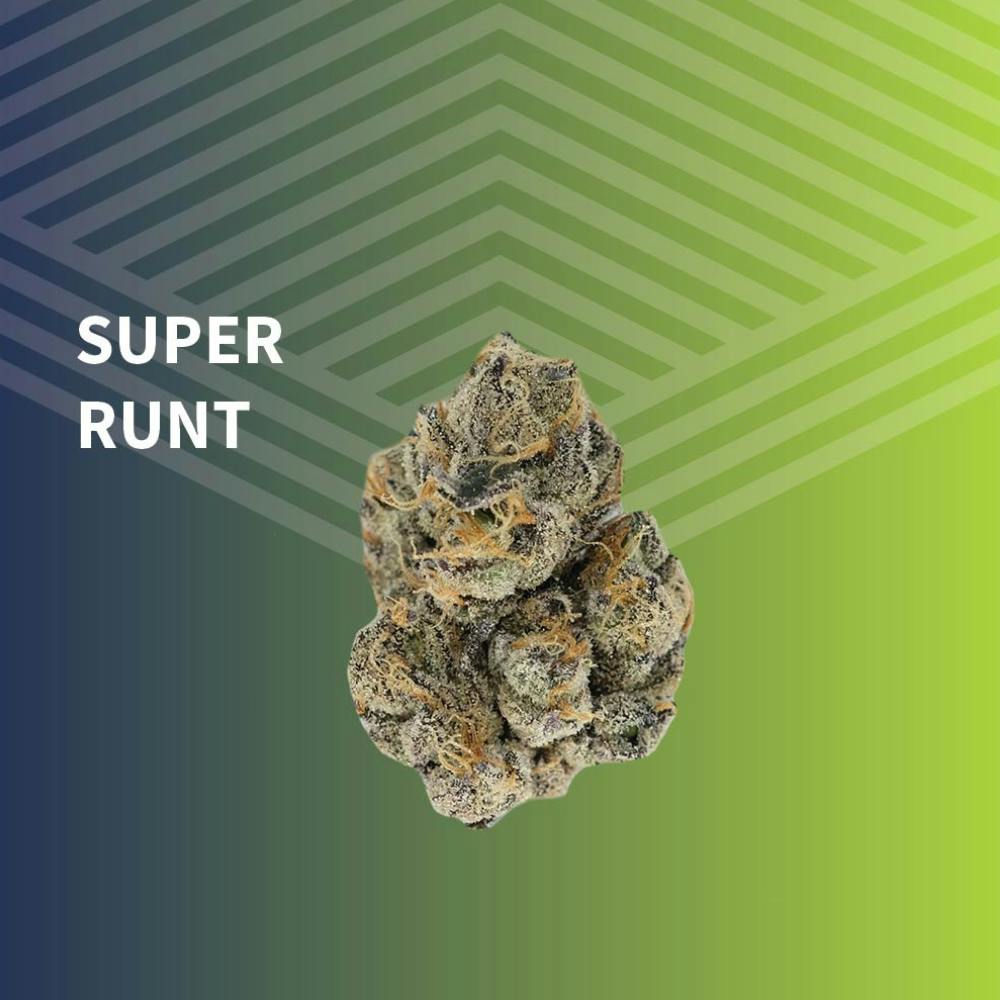 Super Runt | Big Buds | 1g at Pure Dakota Health Williston Dispensary