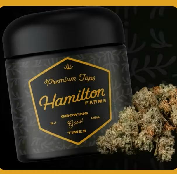 Apple Jelly | Big Buds | 3.5g