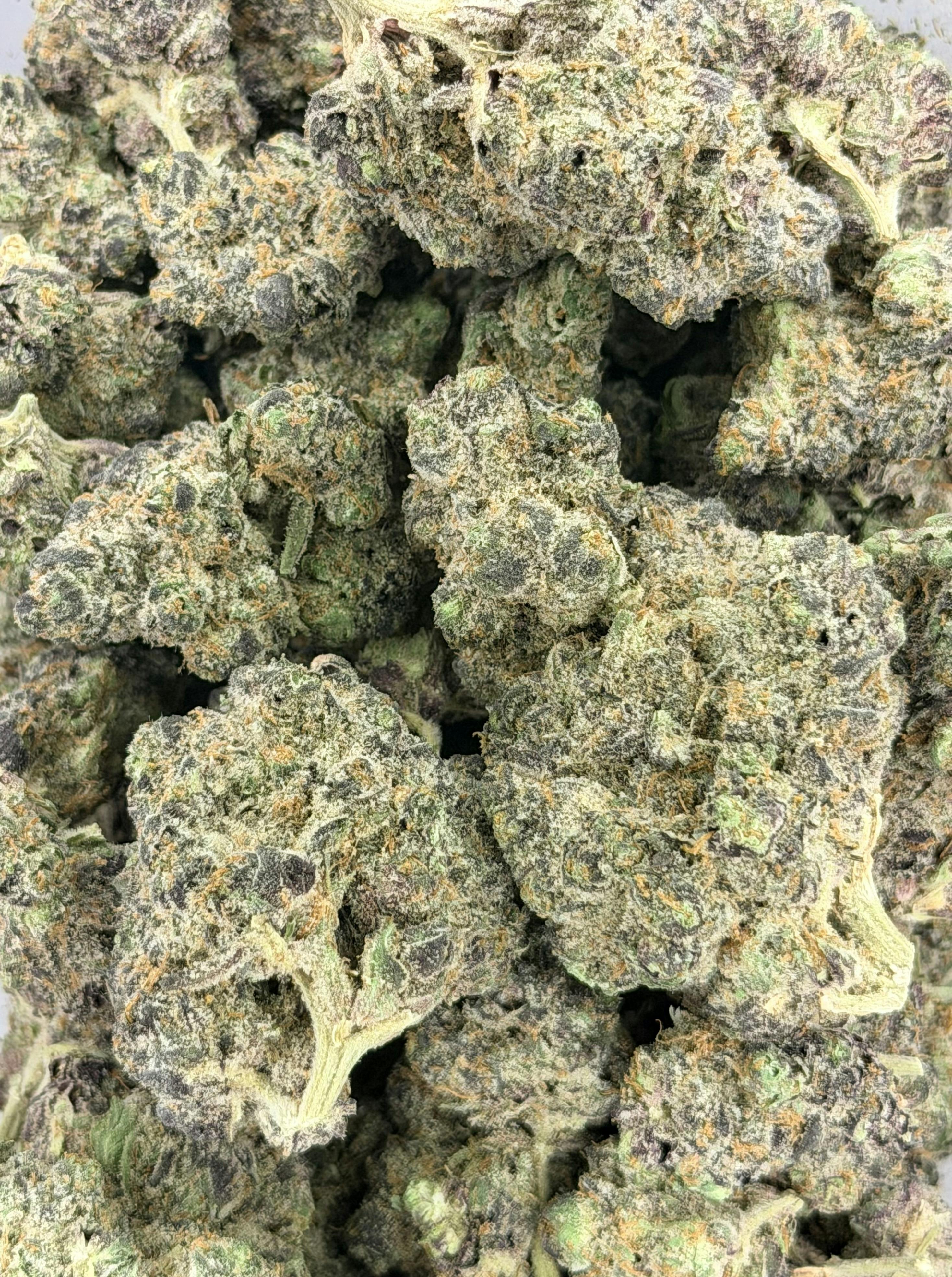 Fritter Mintz | Big Buds | 1g by Deli