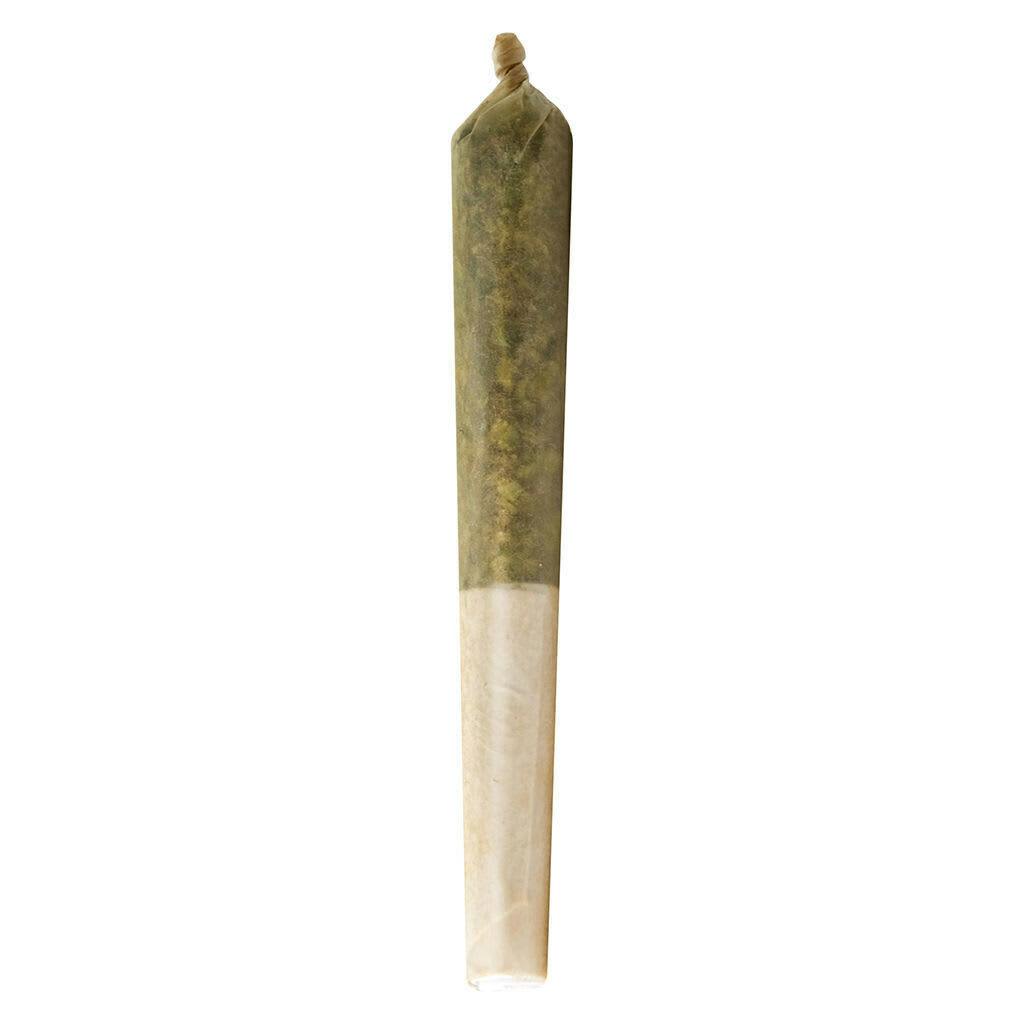Lil Buddy | Minis | 0.5g | 15pk