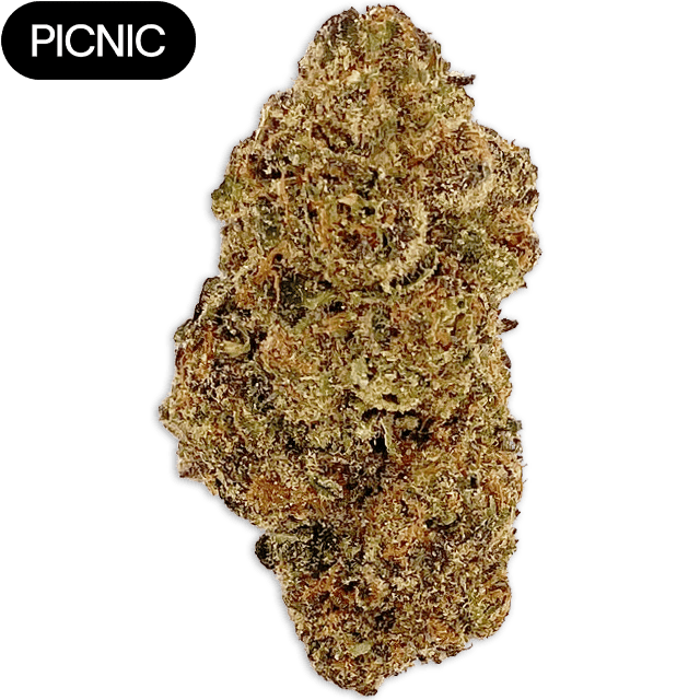 White Runtz | Big Buds | 3.5g at Elevation 2477' Cannabis Dispensary